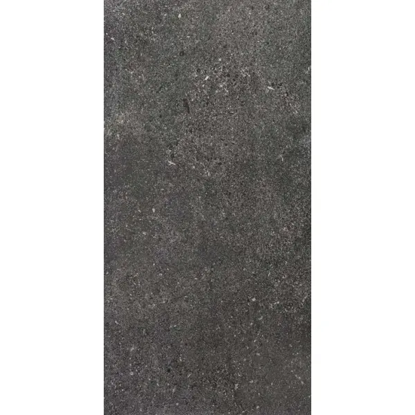 Ariostea Astra Full Body P612654 Storm Natural Plus 60x120