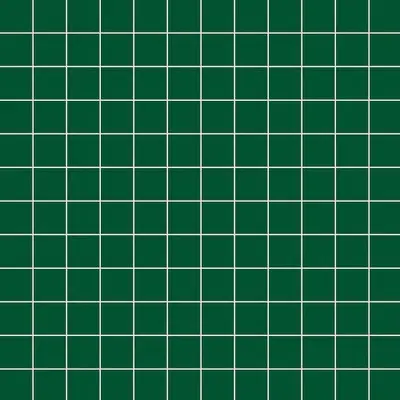 CE.SI Matt Su Rete Felce 30x30