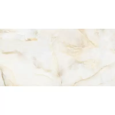Leopard Noble Onyx Ice 60x120