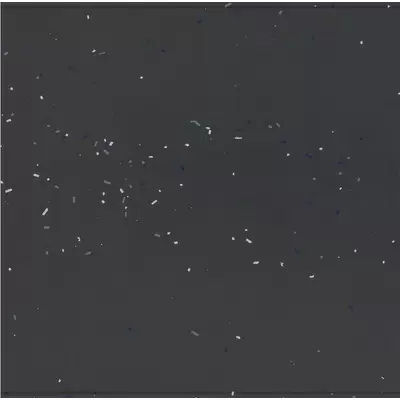 Mutina Primavera BOA05 Nero 120x120