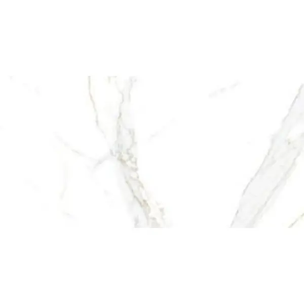 Asia Pacific Glossy Statuario Regal Gold 60x120