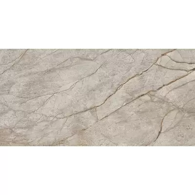 Atlas Concorde Russia Empire 610010002187 Silver Root 60x120