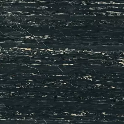 Rex Ceramiche I Classici Di Rex 755470 Portoro Glossy Rett 60x60