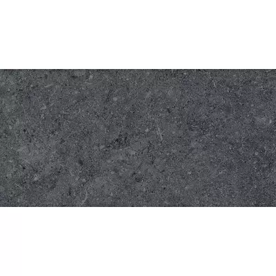 Kerama Marazzi Роверелла DL200800R20 Серый Тёмный 30x60