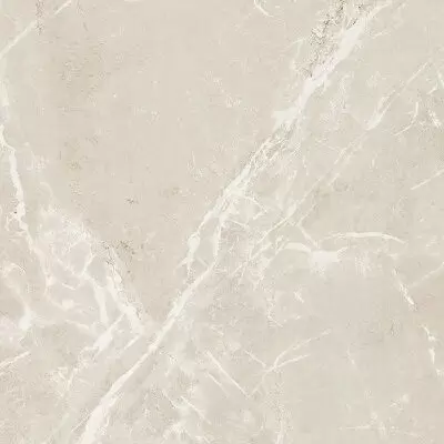 Cerim Ceramiche Elemental Stone 766950 ST White Dolomia Luc Ret 60x60