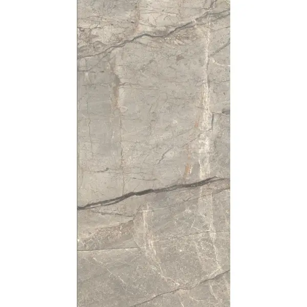 Caesar Anima Futura AIAV Amazing Silver Liscio Matt 60x120 - керамическая плитка и керамогранит
