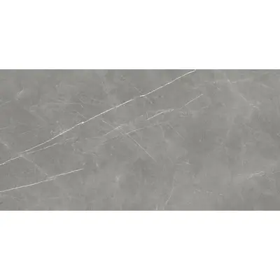 Atlas Concorde Russia Forte Dei Marmi 610015000657 Elegant Grey Cerato Rett 60x120