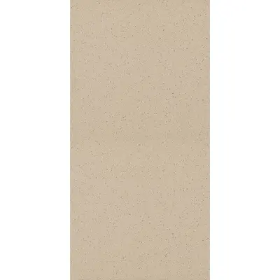 Grupa Paradyz Bazo Beige Gres Sol-Pieprz Rekt 29,8x59,8