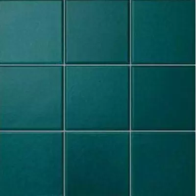 Appiani Anthologhia MOS9033 Mos 9033 Aralia 30x30