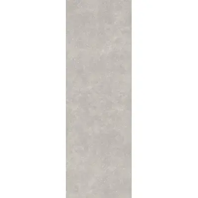 Kale C-stone Grey 100x300