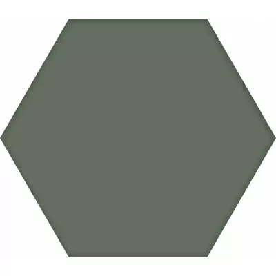 Codicer Basic Hex.25 Moss 25x22