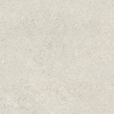 Casa Dolce Casa Sensi 768360 White Fossil R-Ptv 80x80