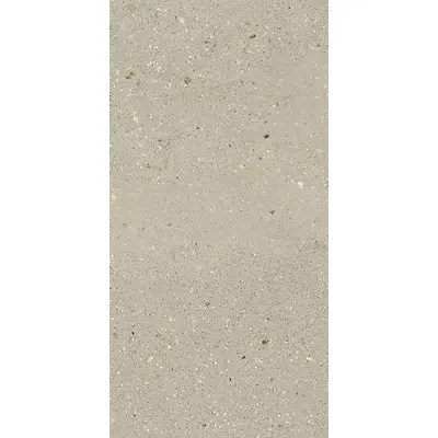 Dado Ceramica Geology 304145 Terra 60x120