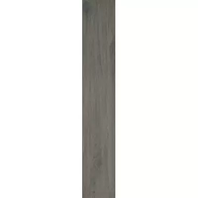 Casalgrande Padana Tavolato Antracite Antibacteri 20x120