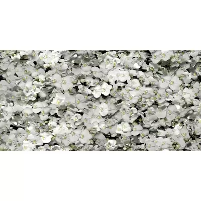 41zero42 Paper41 Pro 4100287 Eva 50x100