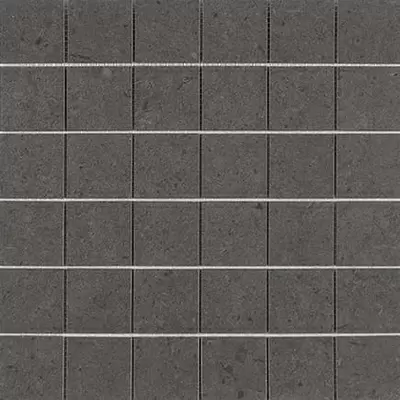 Apavisa Nanoconcept 8431940292217 Black Natural Mosaic 5x5 29.75x29.75
