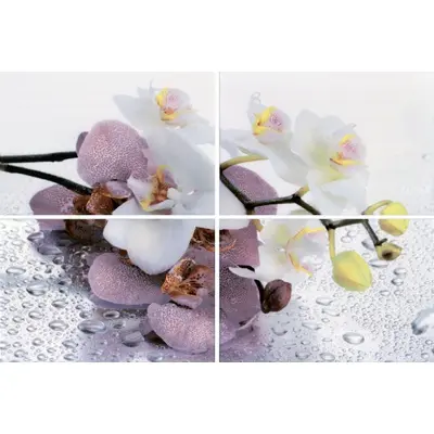 Terracotta Alba AL-P-ORC Orchid 60x40