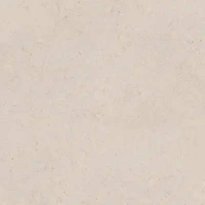 Porcelanosa Dorcia 100348054 Bone L 80x80