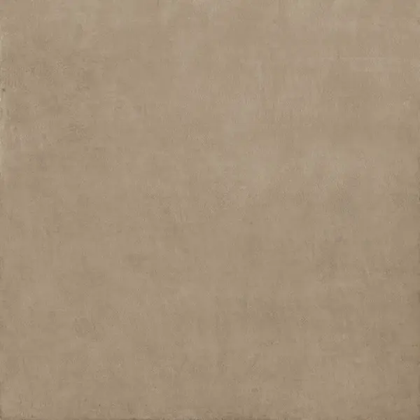 Ariostea Balance IGP66571 Tan Natural Plus 60x60