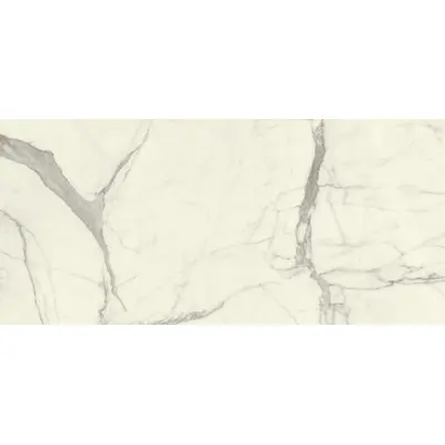 Stone Calacatta Bianco Statuario Glossy 120x260