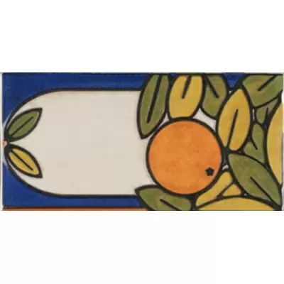 Vives Aranjuez Fuenlabrada-2 10x20