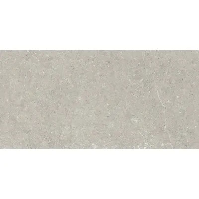 Del Conca Wild GCWD05R HWD 5 Grey 8.5mm Ret 60x120