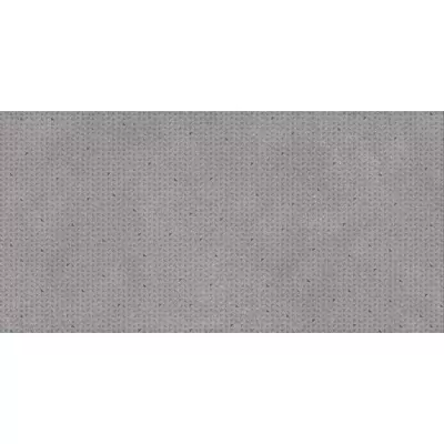 Rako Betonico DAKV1796 Серый 60x120