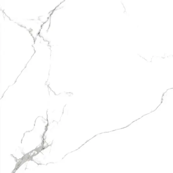 Primavera Royce R_NR1001 Calacatta Venatino Matt 60x60