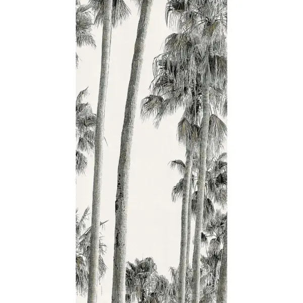 ABK Wide & Style 0009392 Hollywood A 120x280