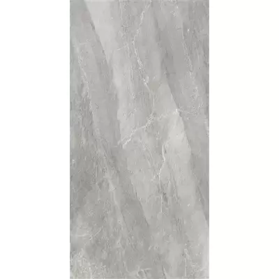 Sina Tile Earth 2613 Dark Grey Polish 60x120