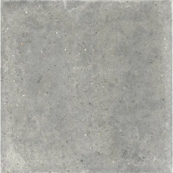 Ariana Anima 0006046 Grigio Nat Ret 120x120 - керамическая плитка и керамогранит