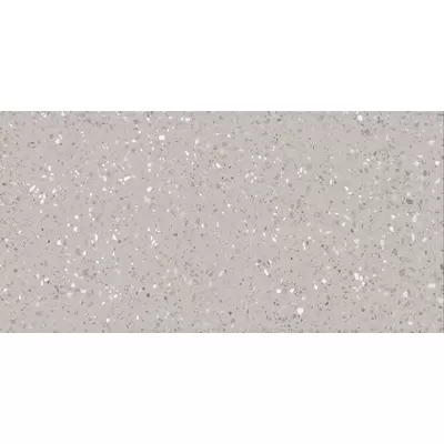 Rako Porfido DASV1811 Grey 60x120