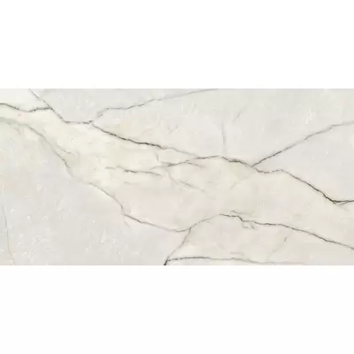 Ariana Epoque 21 PF60009343 Lilac White Ant R 60x120