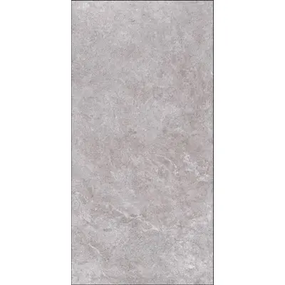 Grespania Arles 44RL39R Gris rec 60x120