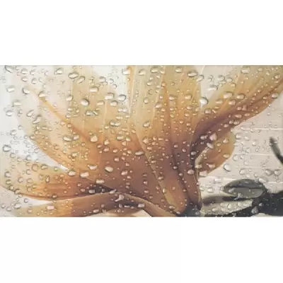 Fanal Ocean Dec A 60x32.5