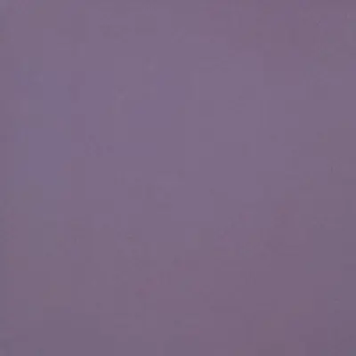 Casalgrande Padana Unicolore Technic Violet Levigato 8mm 30x30