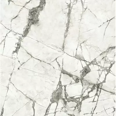 Caesar Anima Ever AFBF Magnificent White Luc Ret 120x120
