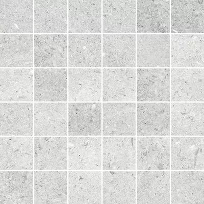 Museum Lens D. Silver Mosaic/RW 30x30
