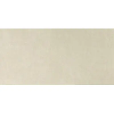 Fap Ceramiche Bloom fRFG Beige 80x160