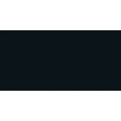 Inalco The New Blacks Prugna Natural 6mm 160x320