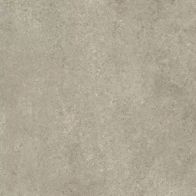 Casa Dolce Casa Sensi 768554 Ivory Fossil 6 Mm 120x120