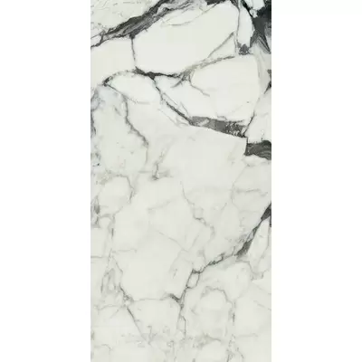 Rex Ceramiche Les Bijoux de Rex 765781 Calac Altissimo Glo 6mm Ret 60x120