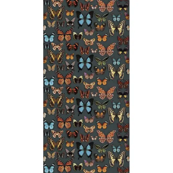 ABK Wide & Style 0009557 Papillon 120x280