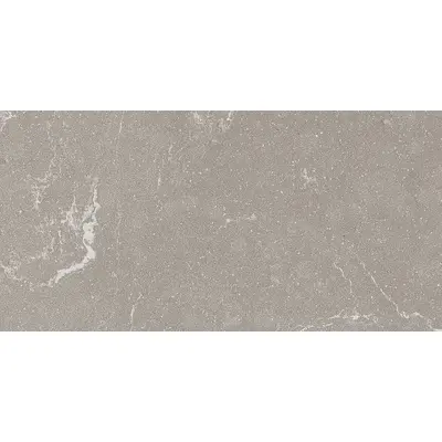 Ceramica Fioranese I Variegati IV623R Cenere 60,4x120,8