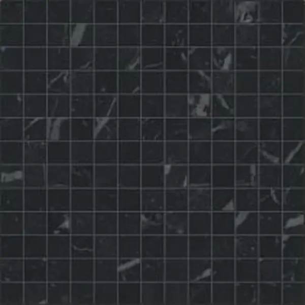 Caesar Anima Futura AGE0 Unique Black Composizone F Luc 30x30