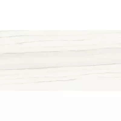 Ariostea Marmi Classici Zebrino Bianco Luc 120x60