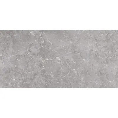 Edimax Ceramiche Golden Age Grey Soft 60x120