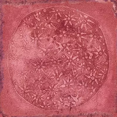 Vives Luca Carlo Granate-B 20x20