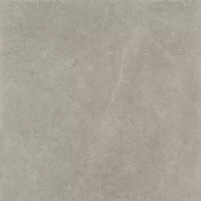 Panaria Prime Stone PGWPML2 Silver Lux Rect 60x60