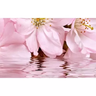 Belleza Букет Розовый 09-01-41-665 40x25